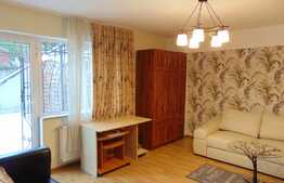 Apartament 1 camera decomandata,40 mp,  terasa 56 mp, parcare, garaj, zona Hasdeu