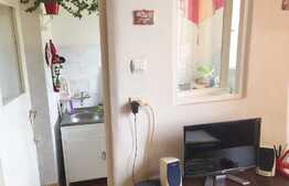 Garsoniera 29 mp, etaj intermediar, parcare, zona Big