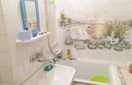 Garsoniera 29 mp, etaj intermediar, parcare, zona Big