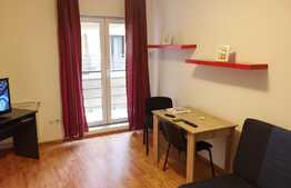 Garsoniera 22 mp, etaj intermediar, zona FSEGA