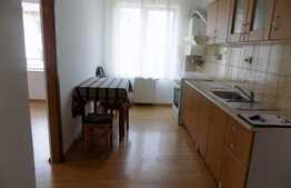 Apartament 2 camere, 55 mp, 2 balcoane, loc de parcare, zona strazii Tineretului