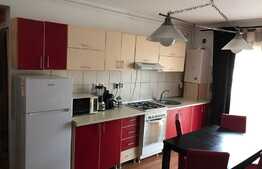 Apartament 2 camere, 46 mp, balcon, loc de parcare, zona strazii Florilor