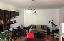 Apartament 2 camere, 46 mp, balcon, loc de parcare, zona strazii Florilor