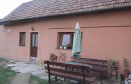 Apartament 1 camera, 50 mp, imobil casa, decomandat, parcare, zona strazii Iris