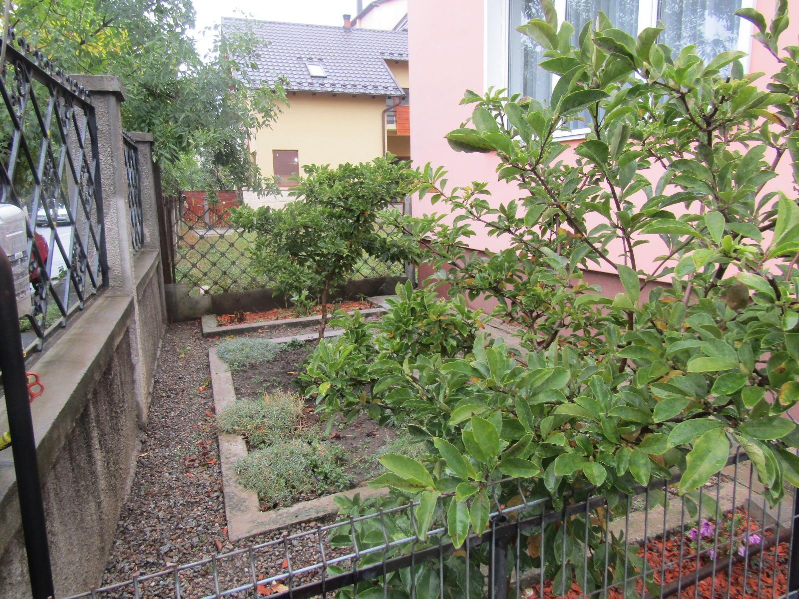 Casa de vânzare 2 camere Gheorgheni - 28039CV | BLITZ Cluj-Napoca | Poza13