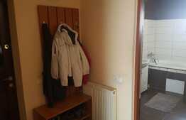 Apartament  3 camere, 64 mp, loc de parcare, zona strazii Tineretului!