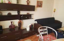 Apartament  3 camere, 64 mp, loc de parcare, zona strazii Tineretului!
