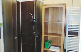 Garsoniera de inchiriat, 35 mp, A. C., zona Bulevardul Eroilor