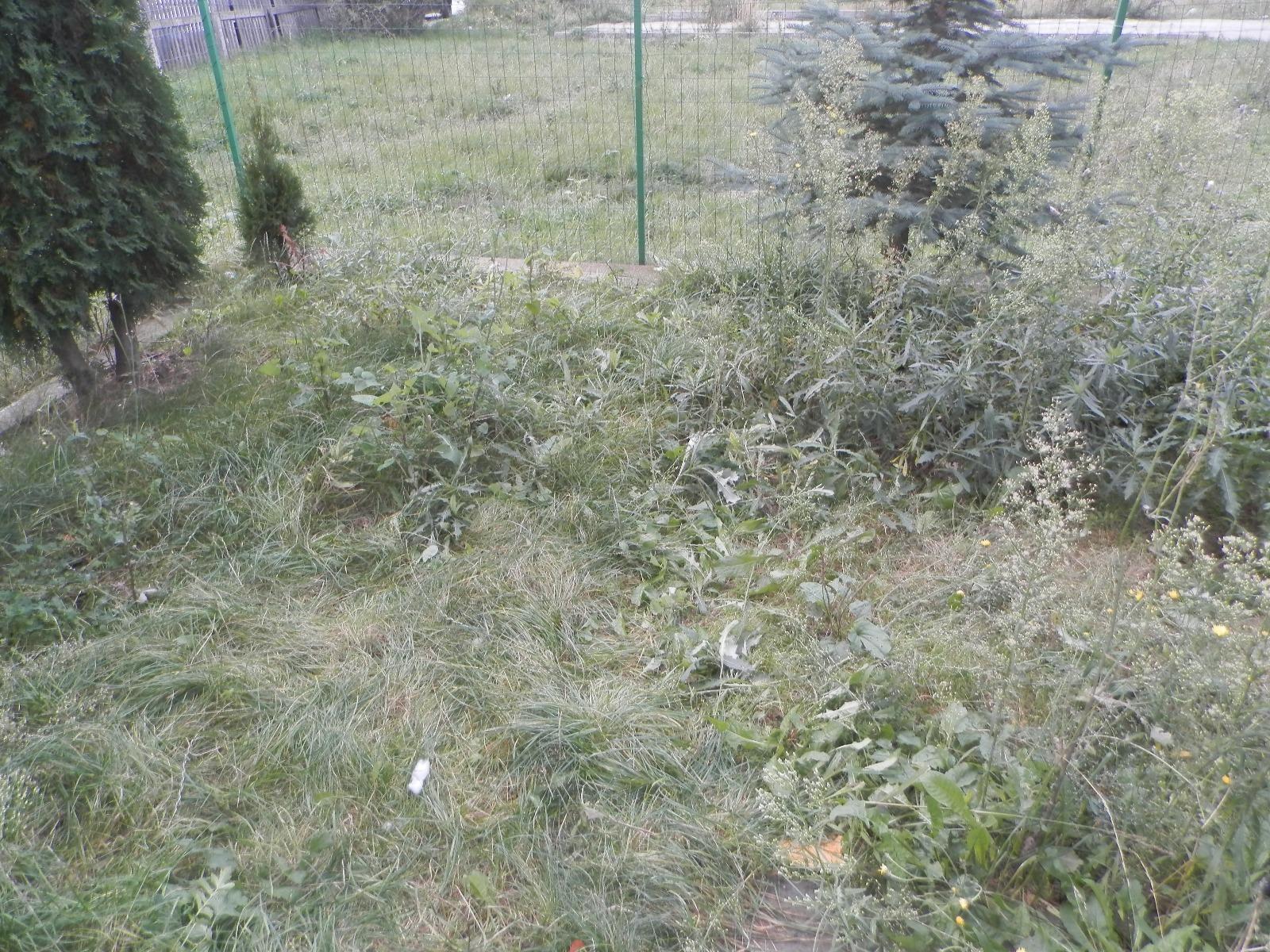 Apartament de vânzare 2 camere Floreşti - 28053AV | BLITZ Cluj-Napoca | Poza8