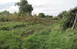 Casa individuala demolabila, teren de 2600 mp, zona Chinteni