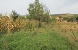 Casa individuala demolabila, teren de 2600 mp, zona Chinteni