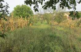 Casa individuala demolabila, teren de 2600 mp, zona Chinteni