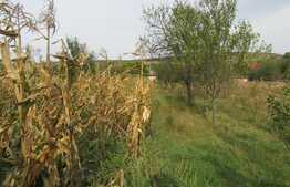 Casa individuala demolabila, teren de 2600 mp, zona Chinteni
