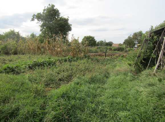 Casa de vânzare 1 camera Exterior Nord - 28070CV | BLITZ Cluj-Napoca | Poza7