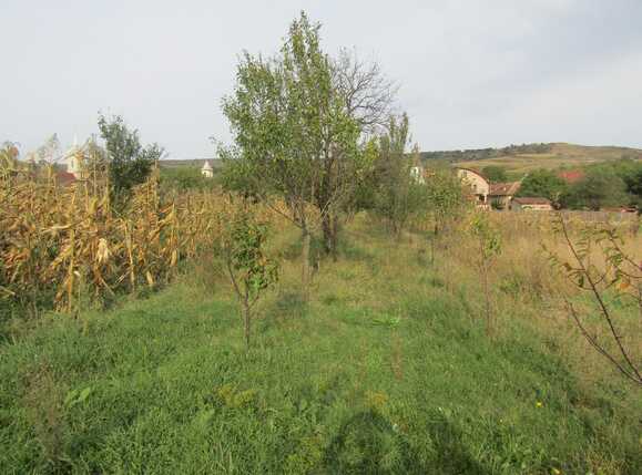 Casa de vânzare 1 camera Exterior Nord - 28070CV | BLITZ Cluj-Napoca | Poza2