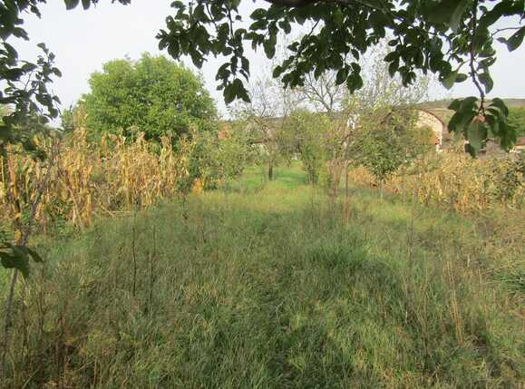 Casa de vânzare 1 camera Exterior Nord - 28070CV | BLITZ Cluj-Napoca | Poza4