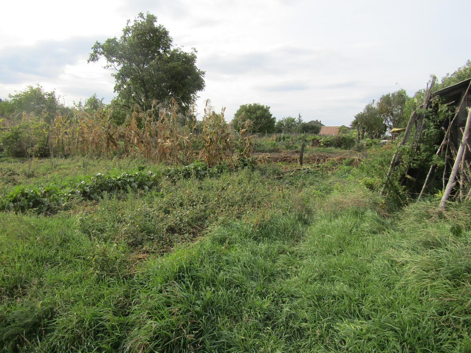 Casa de vânzare 1 camera Exterior Nord - 28070CV | BLITZ Cluj-Napoca | Poza7