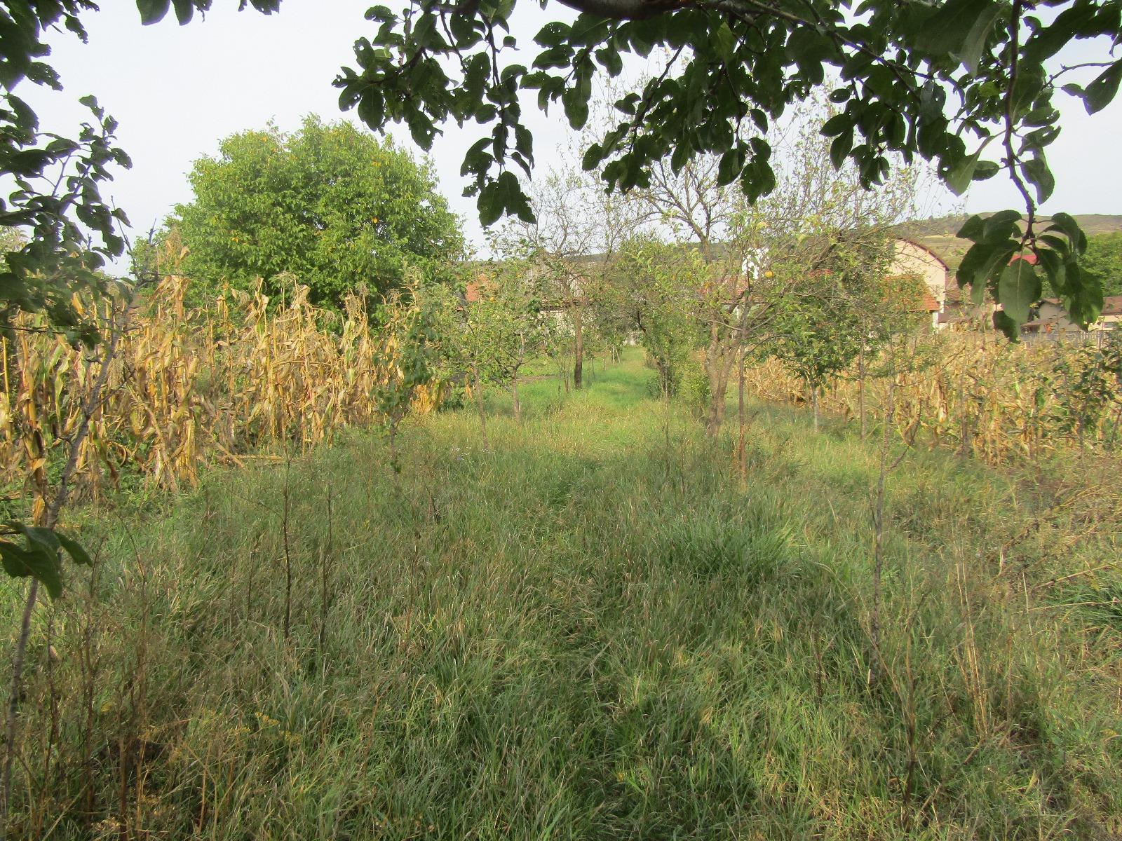 Casa de vânzare 1 camera Exterior Nord - 28070CV | BLITZ Cluj-Napoca | Poza4