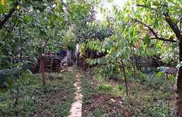 Casa individuala demolabila, teren de 240 mp, zona linistita