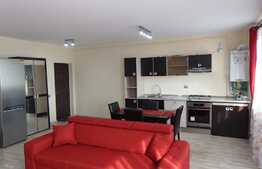 Apartament cu 2 camere, 60 mp, prima inchiriere, terasa, zona strazii Corneliu Coposu