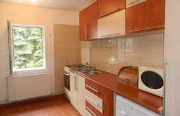 3 camere, 78 mp, mobilat modern, zona strazii Gheorghe Dima