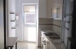 Apartament 2 camere, 64 mp, prima inchiriere, garaj,  imobil nou, zona USAMV