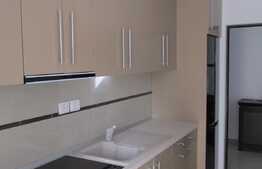 Apartament 2 camere, 64 mp, prima inchiriere, garaj,  imobil nou, zona USAMV