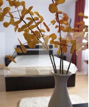 Apartament de închiriat 2 camere Marasti - 28117AI | BLITZ Cluj-Napoca | Poza6