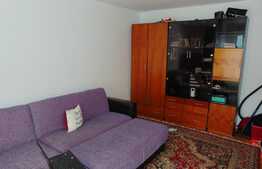 Apartament cu o camera, 26 mp, zona Kaufland