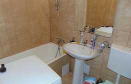 Apartament cu o camera, 26 mp, zona Kaufland