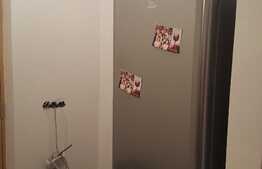 Apartament de vanzare, 2 camere, 50 mp, loc de parcare, zona strazii Somesului