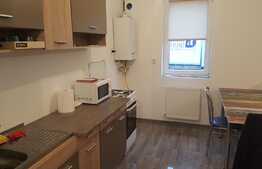 Apartament de vanzare, 2 camere, 50 mp, loc de parcare, zona strazii Somesului