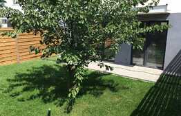 Vanzare triplex, 120 mp utili, 100 mp teren, semifinisat, zona linistita