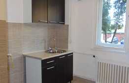 De vanzare apartament cu 2 camere, 45 mp, zona Scolii Internationale