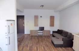 2 camere, 45 mp, imobil nou, mobilat modern, zona strazii Mircea Eliade
