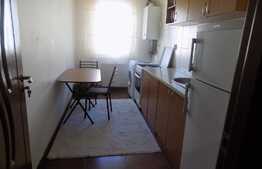 Apartament 1 camera, 47 mp, mobilat si utilat! Parcare! Zona strazii Florilor!