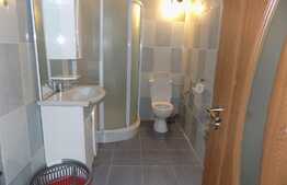 Apartament 1 camera, 47 mp, mobilat si utilat! Parcare! Zona strazii Florilor!