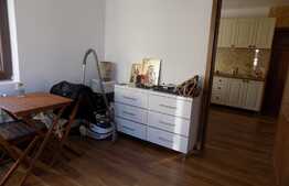 3 camere, 55 mp, terasa de 45 mp! Parcare! Zona strazii Subcetate!