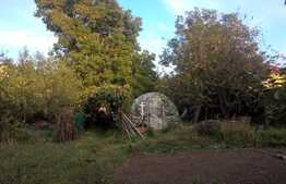 2 case individuale de vanzare, 70 mp utili, teren de 1000 mp, zona linistita