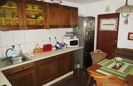 Apartament 5 camere pe 3 niveluri, 138 mp, terasa 50 mp, zona Piata Muzeului