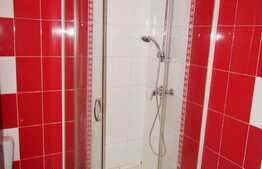 Apartament 5 camere pe 3 niveluri, 138 mp, terasa 50 mp, zona Piata Muzeului