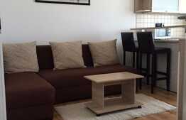 Apartament cochet, mobilat utilat pe strada Teodor Mihali!