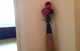 Apartament cochet, mobilat utilat pe strada Teodor Mihali!