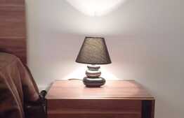 Apartament cochet, mobilat utilat pe strada Teodor Mihali!