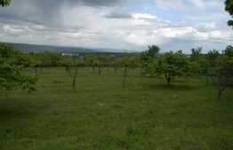 Teren de vanzare 1300 mp, front 25 ml, PUZ in lucru