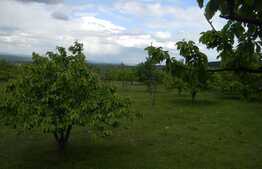 Teren de vanzare 1300 mp, front 25 ml, PUZ in lucru