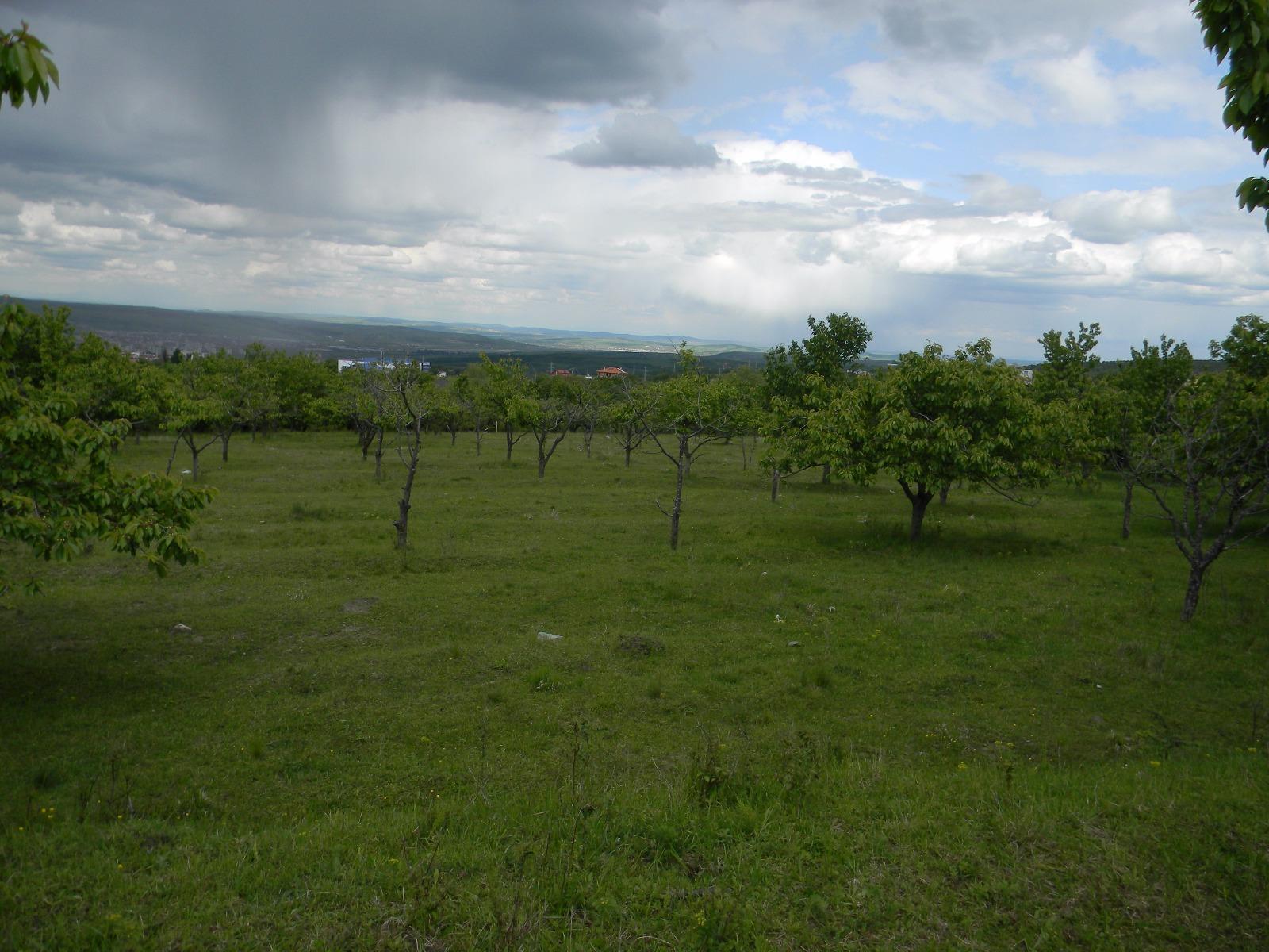 Teren de vânzare Făget - 28248TV | BLITZ Cluj-Napoca | Poza3