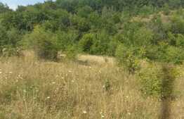 Teren extravilan 1054 mp, front de 23 ml, zona linistita