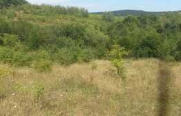 Teren extravilan 1054 mp, front de 23 ml, zona linistita