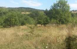 Teren extravilan 1054 mp, front de 23 ml, zona linistita